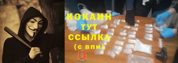 прущие грибы Балахна
