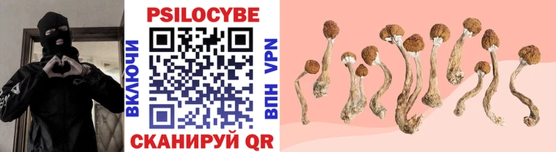 Галлюциногенные грибы Psilocybe  Соликамск 